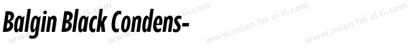 Balgin Black Condens字体转换